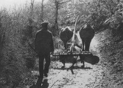 27 de camino al trabajo